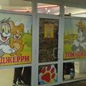 Оформление витрин в Солигорске