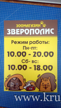 1612245389448.jpg